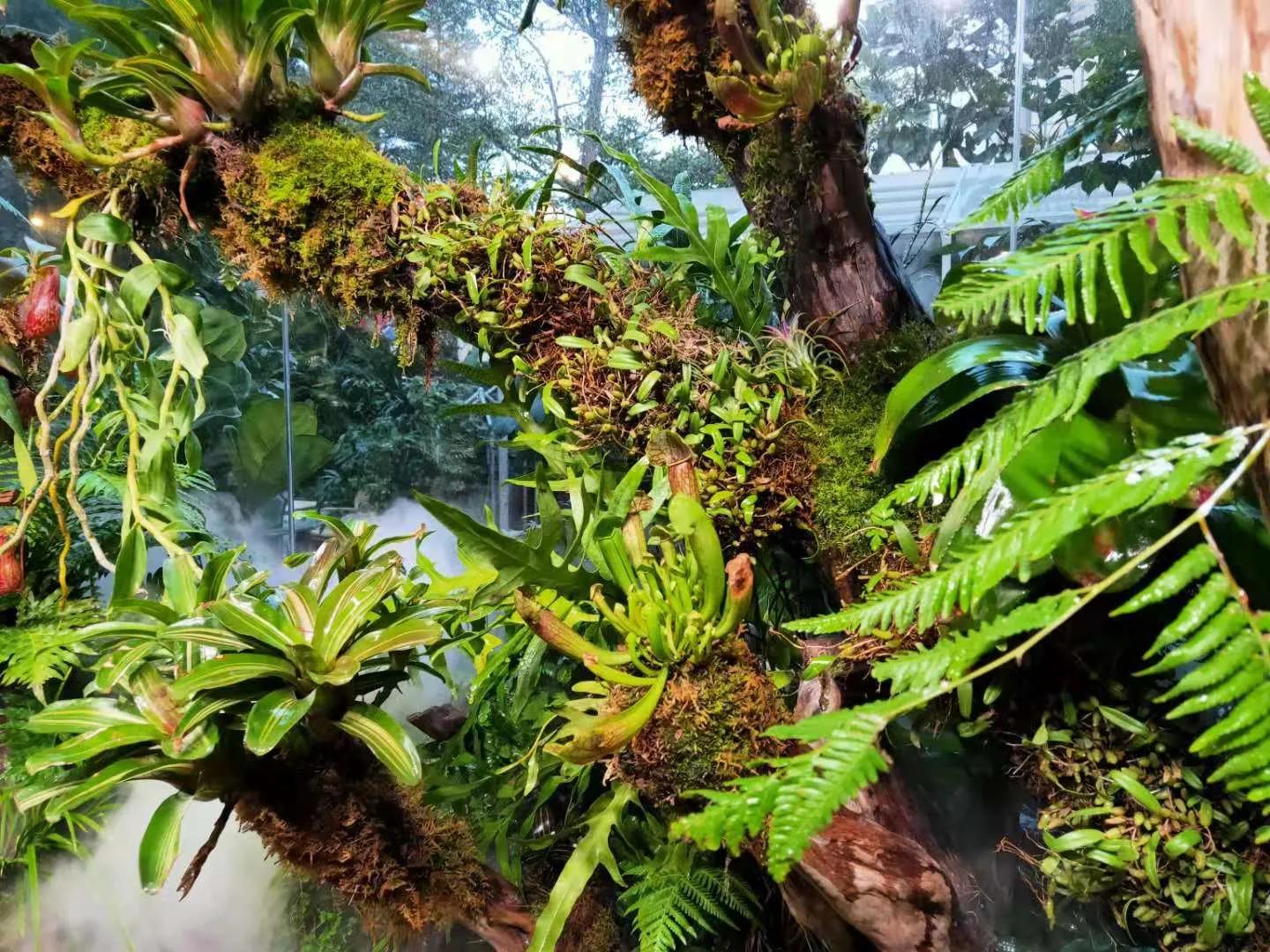 联发华美空间让你爱上厦门的又一个理由穿梭复古潮流领地