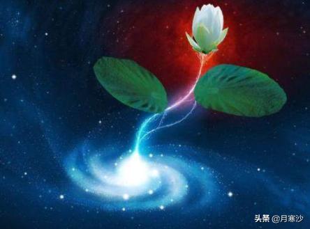 四大混沌至宝是什么,四大混沌至宝的排名