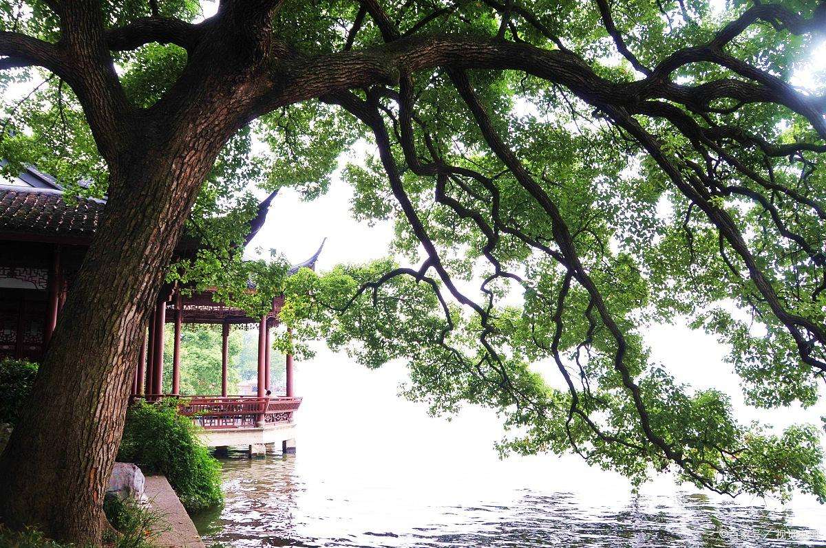 三全管理体系是什么,三全管理