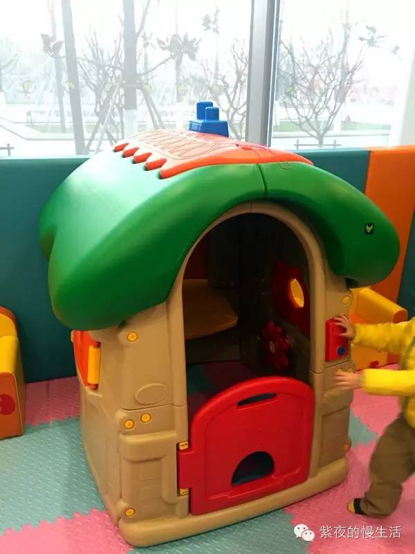 苏州带宠物去的古镇,苏州小众宠物乐园推荐