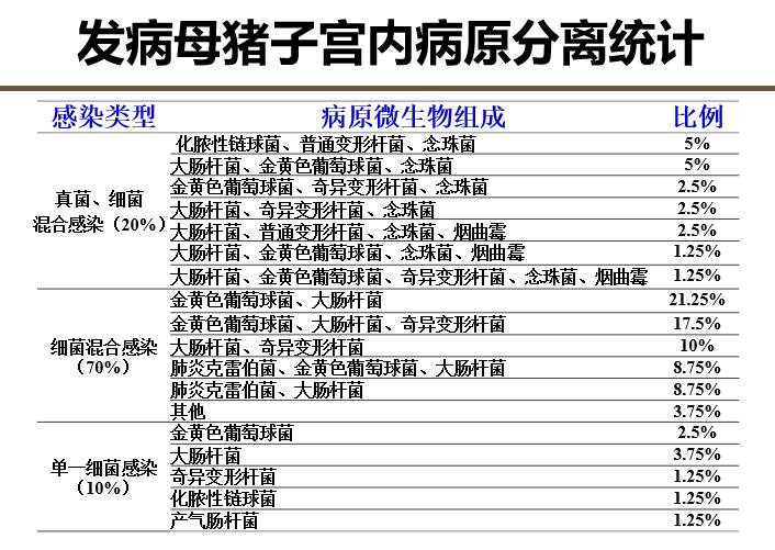 怎样预防母猪炎症,母猪子宫感染对猪有什么影响