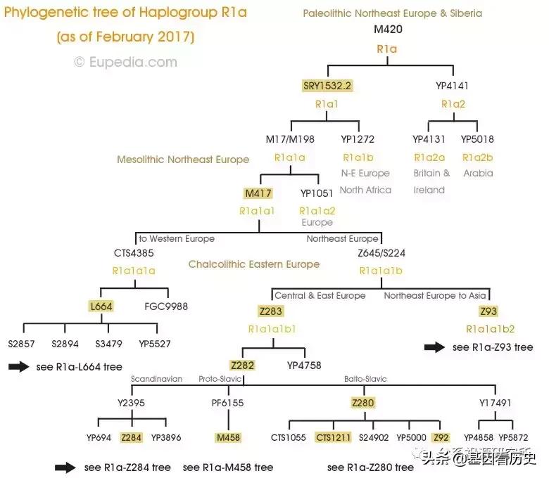 父系R1a人群系列——包括中国的楼兰人
