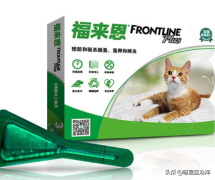 幼猫养护知识大全,幼猫驱虫的注意事项