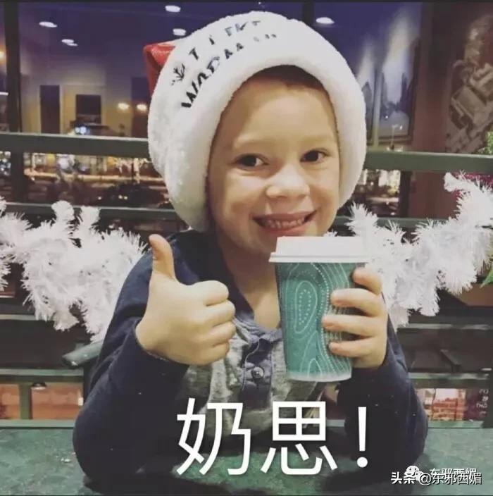 没想到他们俩的组合，居然能好笑成这样