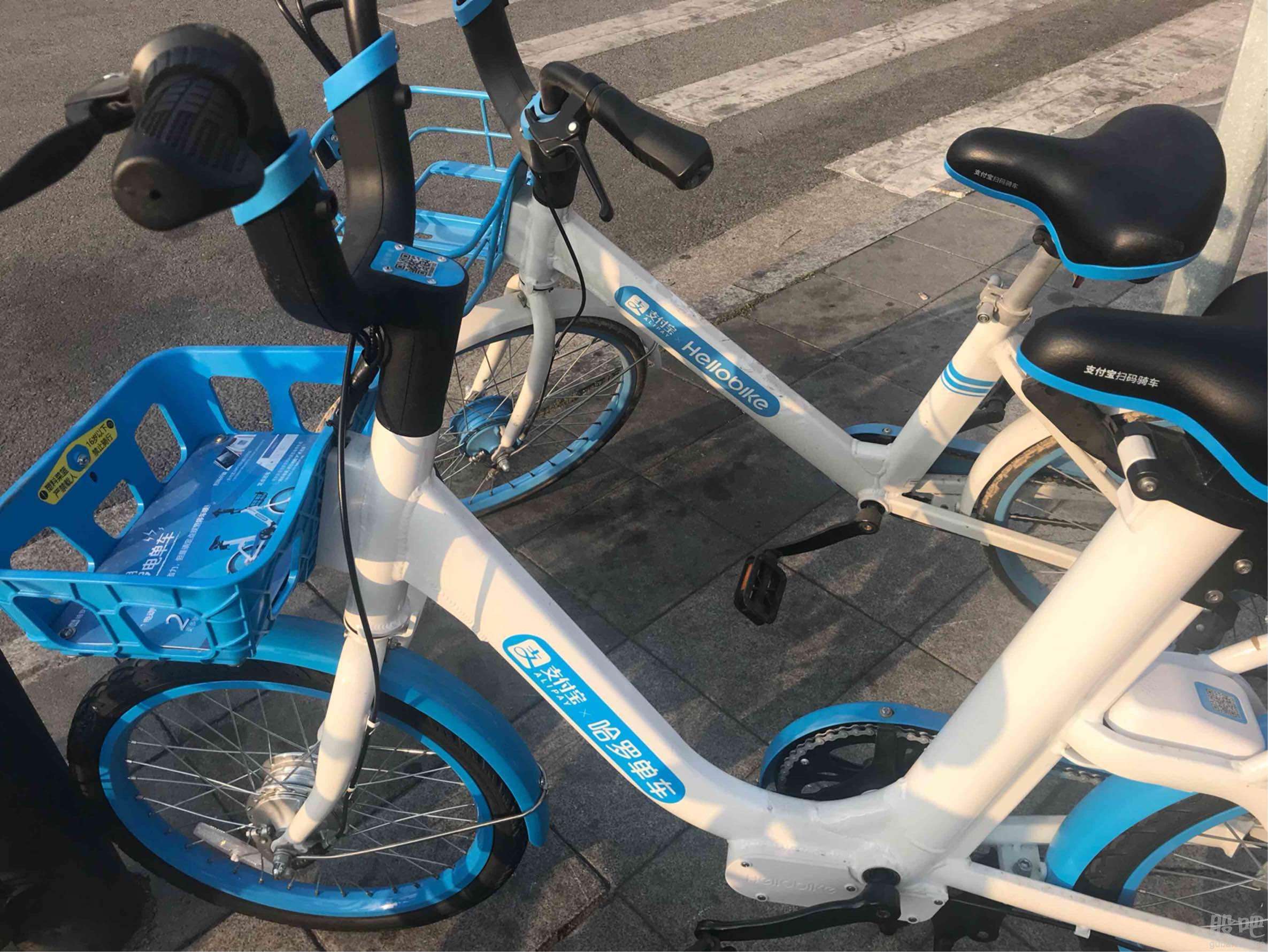 少喝一杯奶茶就能够你骑行哈啰三个月，网友：哈啰霸气