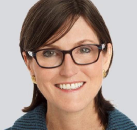 木头姐创业经历,58岁创业成功