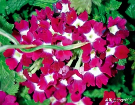 美女图片,美女小姐姐