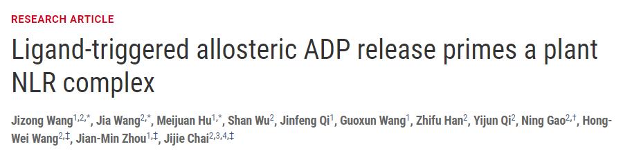 冷冻电镜最新研究,冷冻电镜研究成果涌现