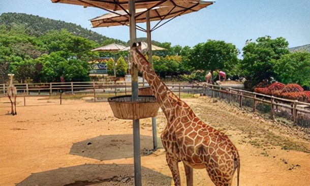 青岛最值得游玩五大景点,青岛最值得去的3个景点