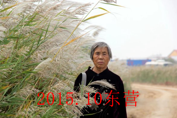 最美的她歌曲原唱,最美的歌献给我的母亲