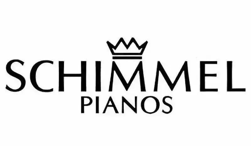 进口琴国产琴“李逵”“李鬼”傻傻分不清楚