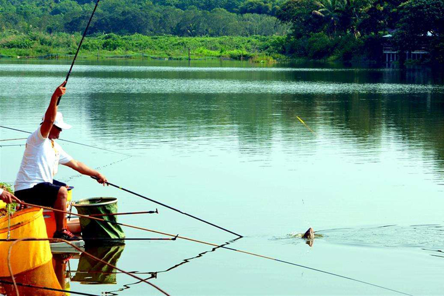 打窝用碎米打窝好还是大米打窝好,钓鱼打窝的正确方法和技巧