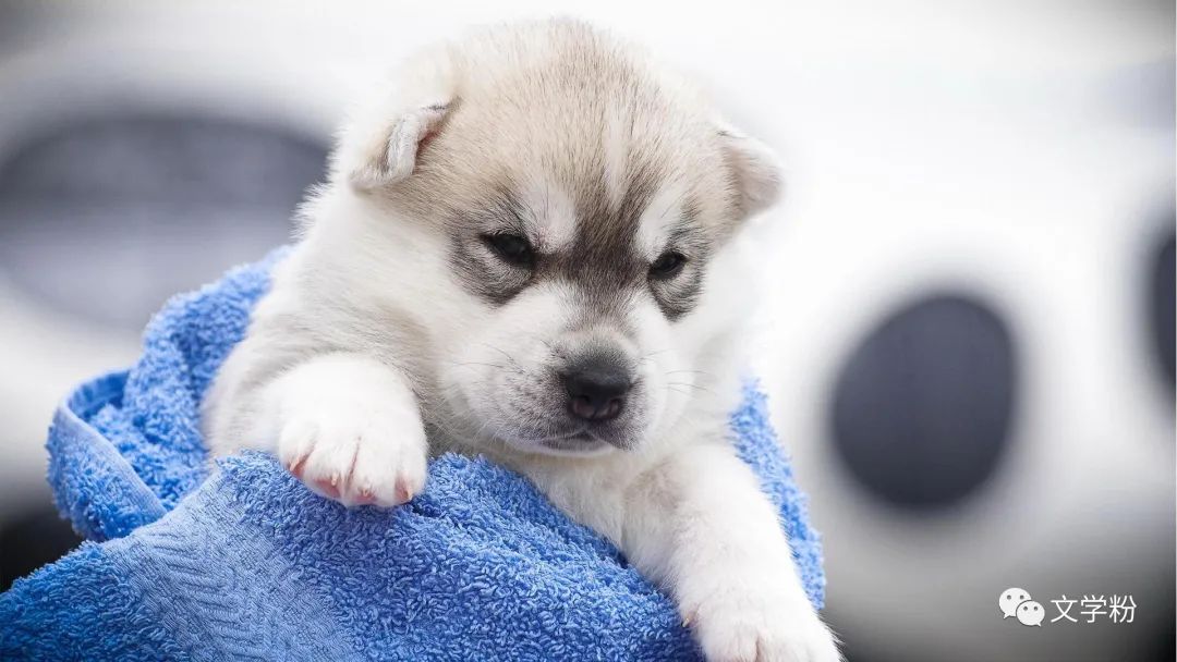 黄金文案朋友圈吸引人,项链文案朋友圈吸引人