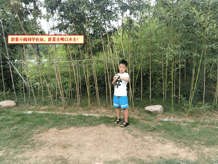 360儿童手表p1pro和s1的区别,360儿童手表p2测评