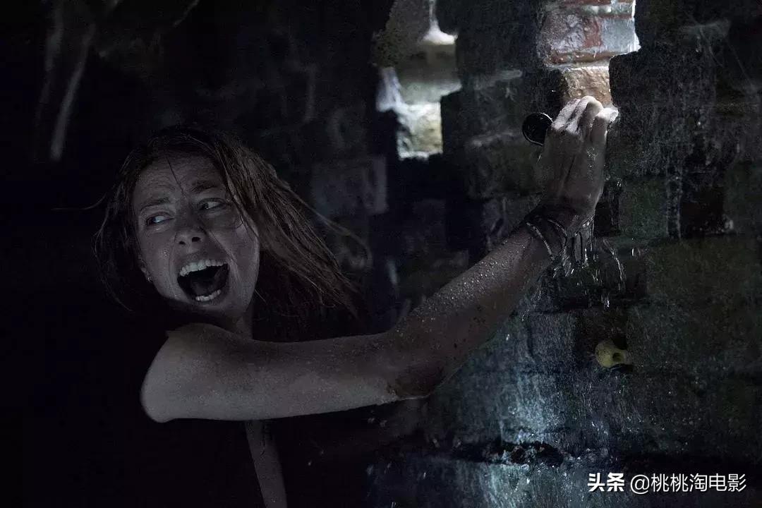 名侦探柯南开年篇合集,诛仙与小小的愿望