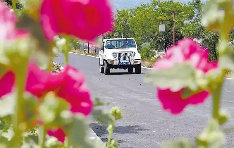 洛阳适合休息的公园,洛阳免费公园景点大全