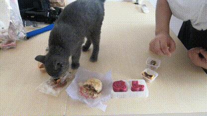 亳州月饼哪家正宗,月饼吃货测评