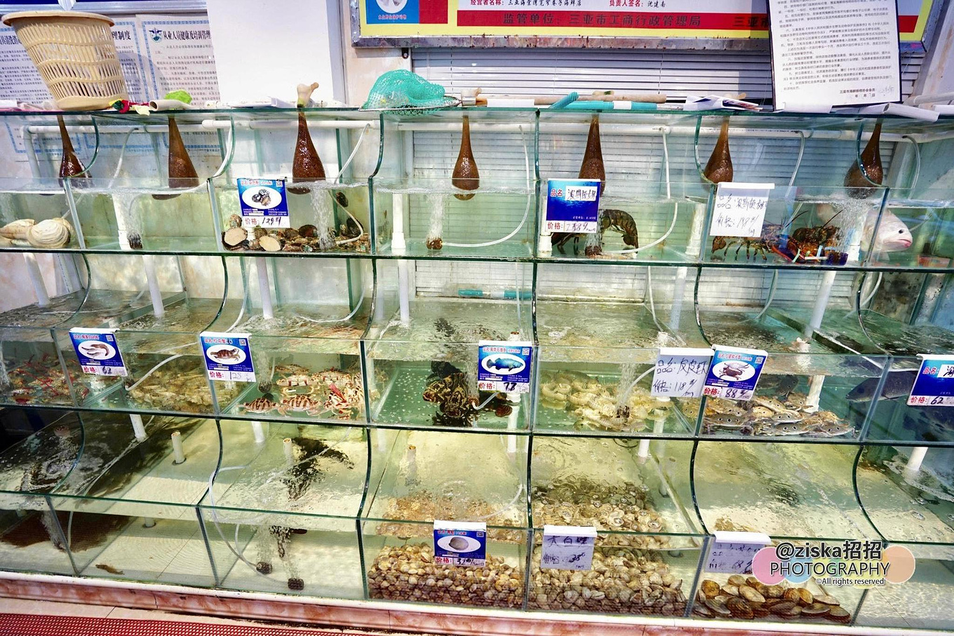 杨紫给李现分享旅游景点,现实生活中李现和杨紫到三亚旅游