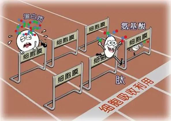 水产动保行业龙头,水产动保国内现状