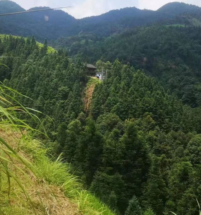 网红乞丐哥被抓视频,网红乞丐哥被抓新闻