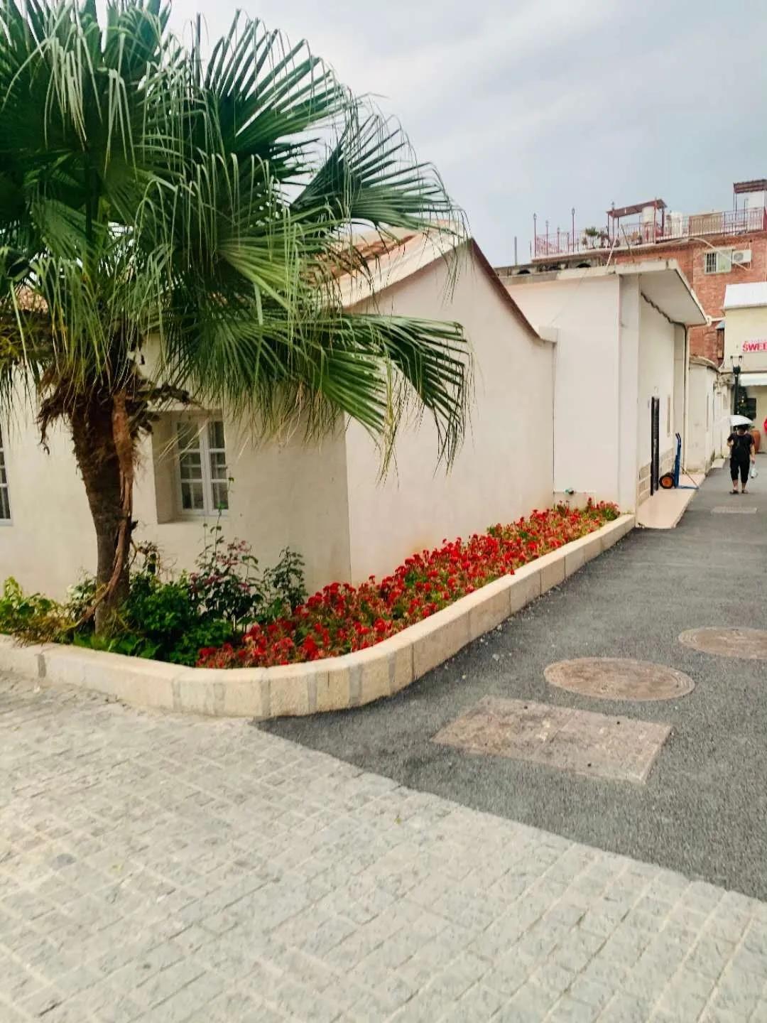 六月去厦门天气好吗,六月去厦门哪里好玩