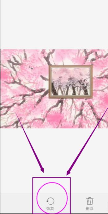 如何恢复苹果手机误删的照片,oppo手机误删照片怎么恢复