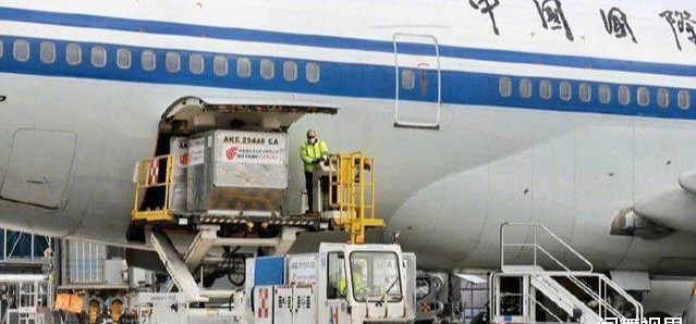 意大利直飞回国3w机票初体验,国航意大利包机