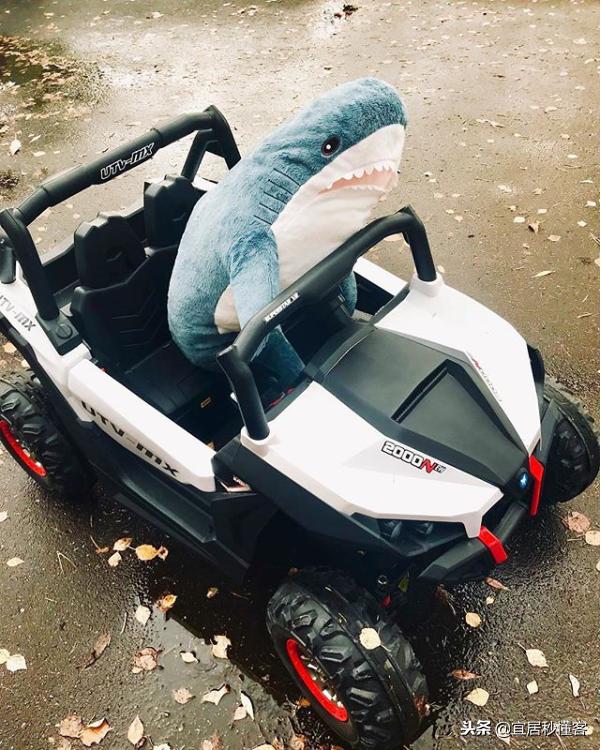 宜家小鲨鱼,为什么宜家鲨鱼火了