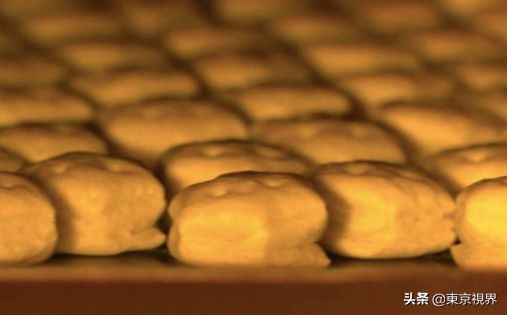 日本食品工厂参观,日本化妆品工厂参观