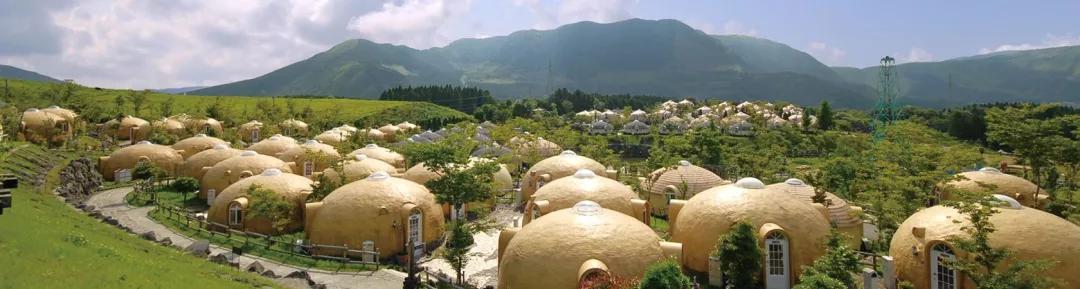 日本樱花现在还在开吗,日本樱花快要开放了吗