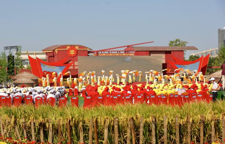 经济林风景,经济林立体种植