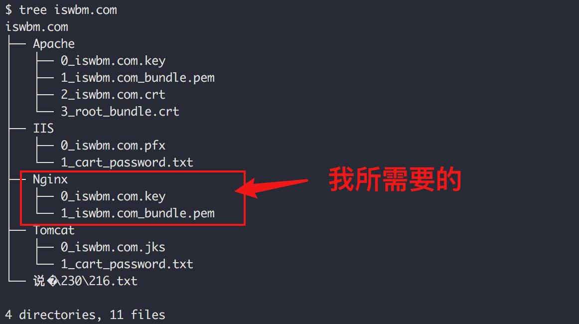 零基础搭建个人网站的步骤和方法,零基础学会搭建网站