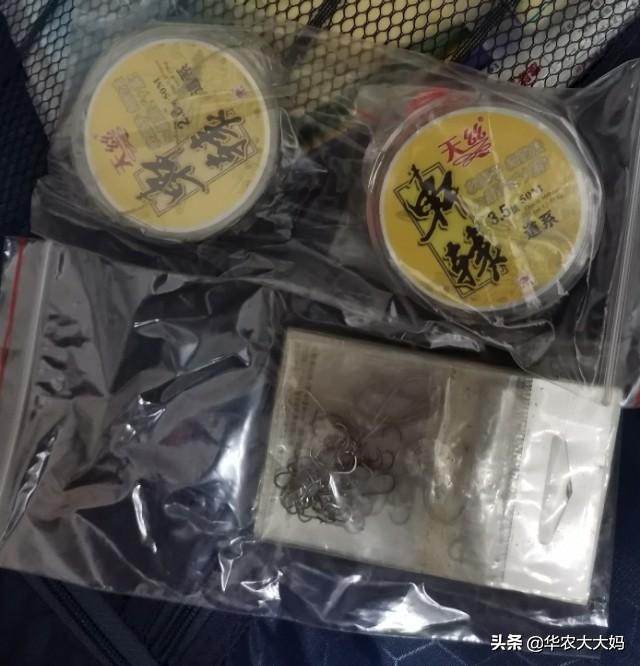 曼谷钓记,曼谷游记骑大象