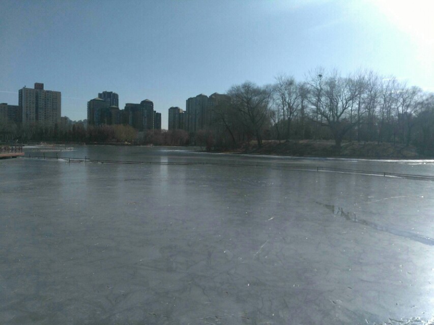 畸形的爱,畸形的爱情电影