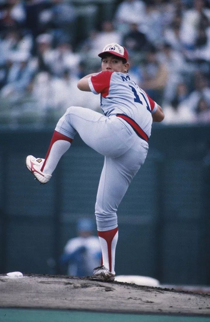 鏃ユ湰妫掔悆杞細鍒跺害,妫掔悆鑱旂洘杞細