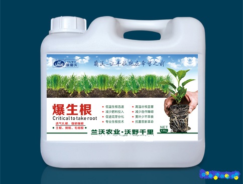 高温对作物危害和防御措施,防晒防高温措施