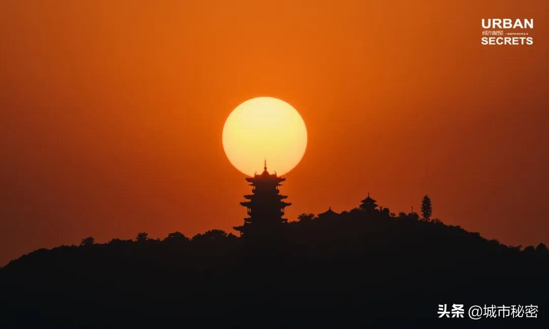 杭州东新·长浜路纪事，住在有魔幻感的理想生活中