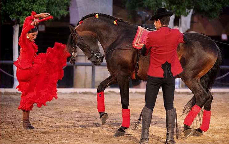 Check，你的完美假期守护神前来报到