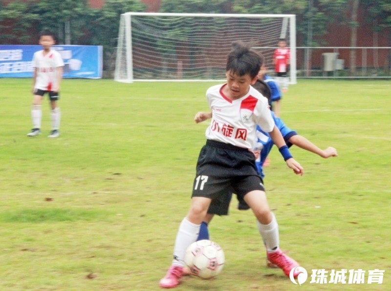 北海足球青训2024,足球青训北海