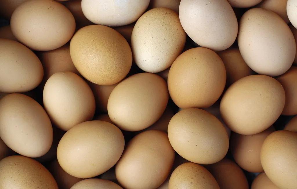 早上吃两个鸡蛋对人有什么好处,早上吃鸡蛋的误区