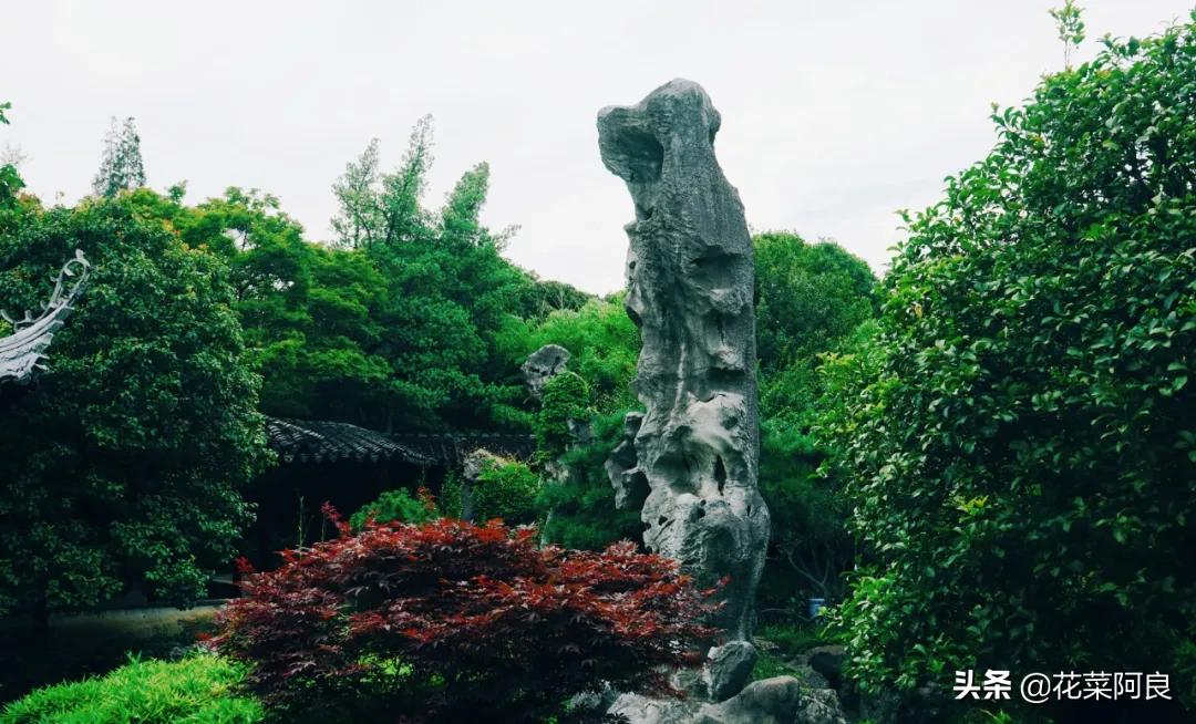 留园拙政园哪个景色好,留园和拙政园