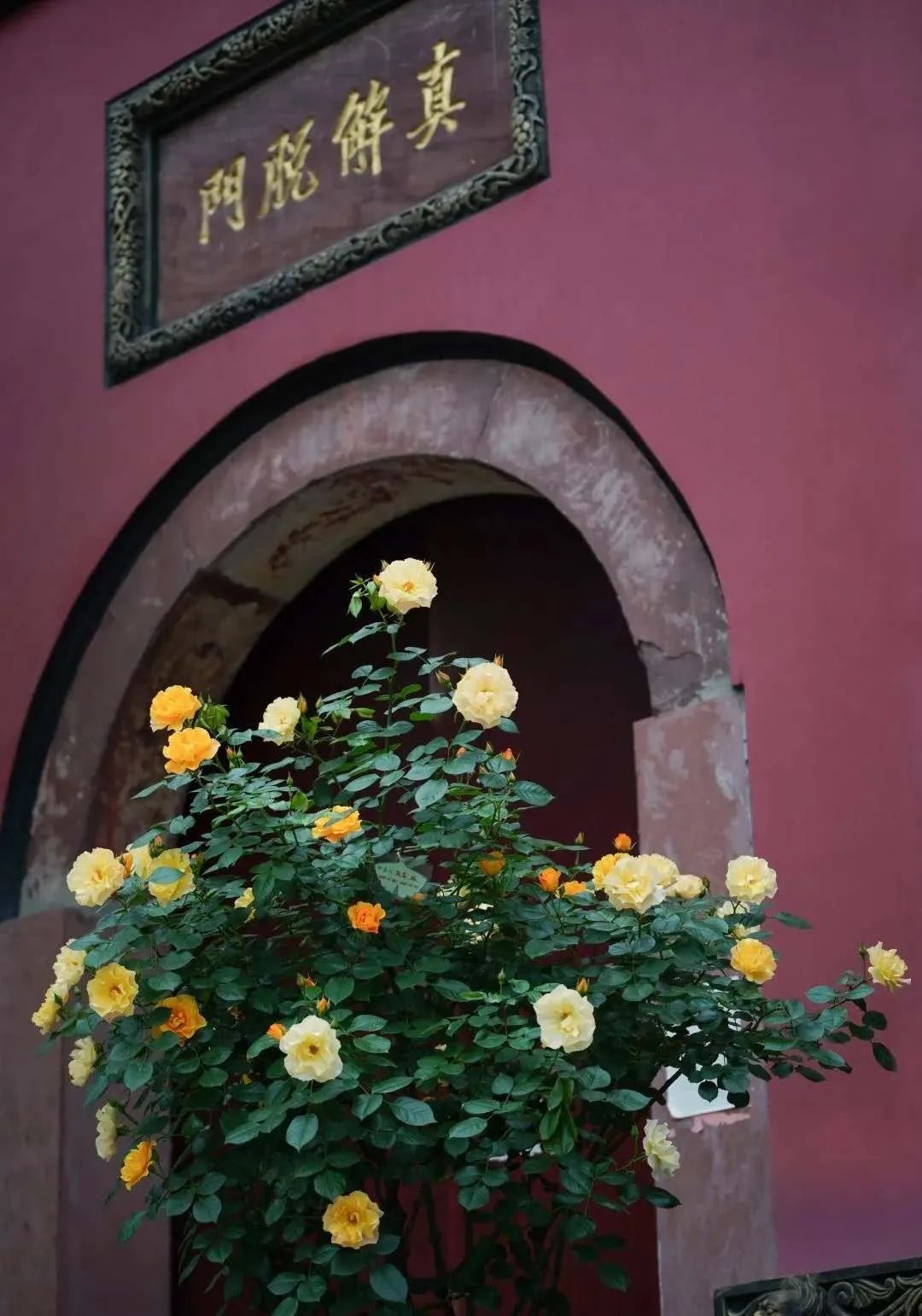 成都夜环线好玩的地方,成都四天三夜小环线