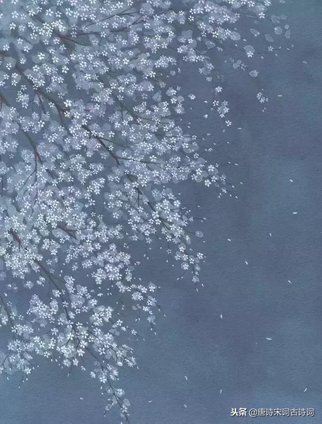 年少不懂这些诗，待到懂时已惘然