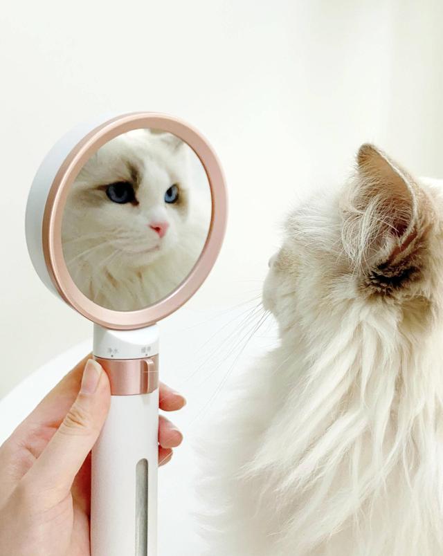 为什么科勒那么火，很多人还是选择大白除氯花洒，原因就在这里！