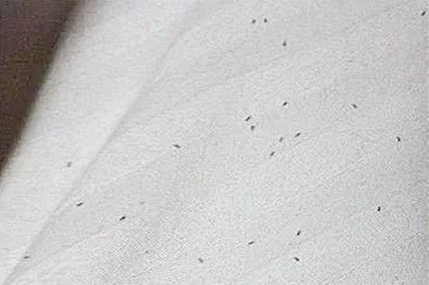 宝宝身上起了一块干燥起皮还有泡,宝宝身上起疙瘩破了还流水