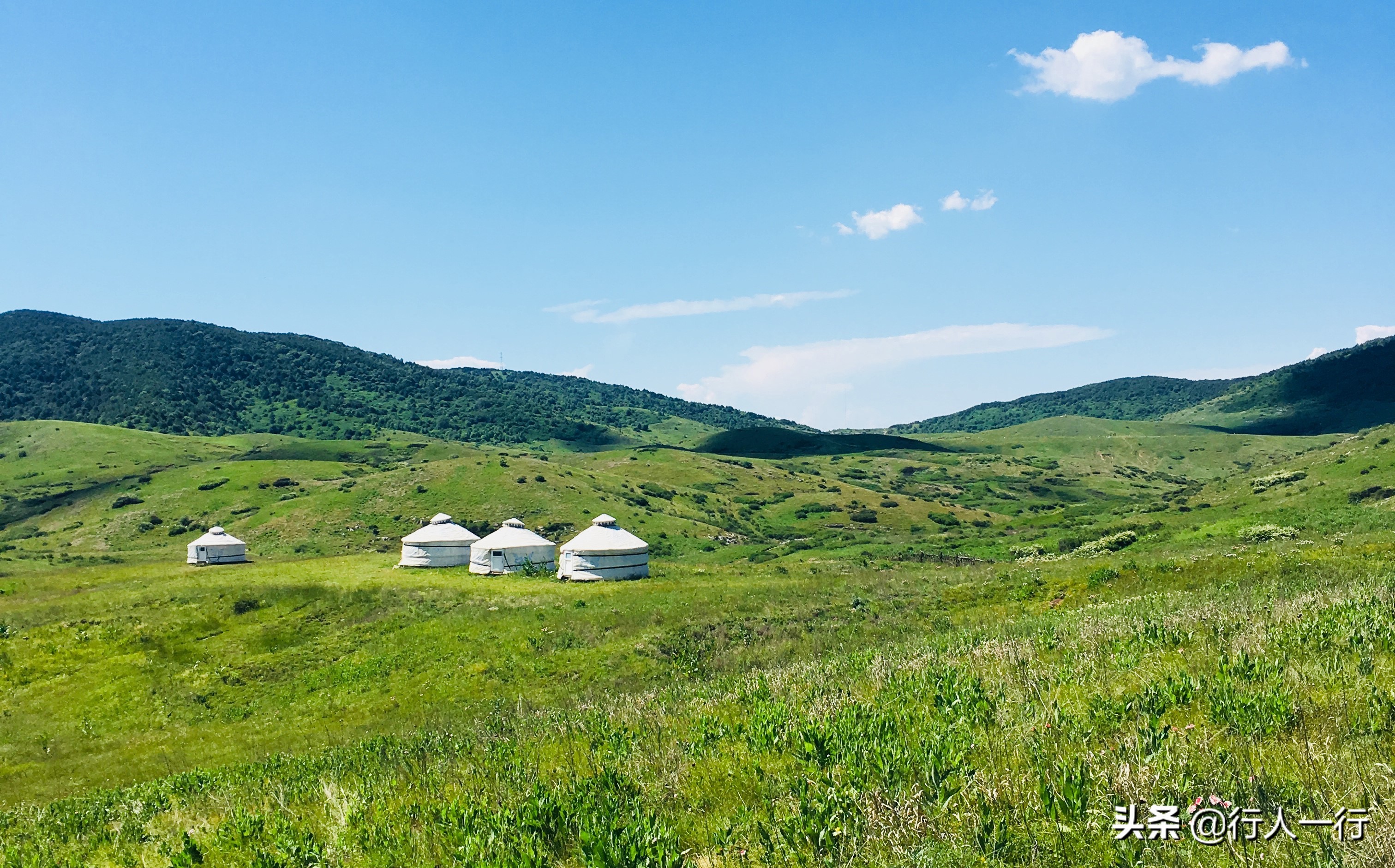 华北最大的亚高山草甸圣王坪,华北最大的亚高山草甸