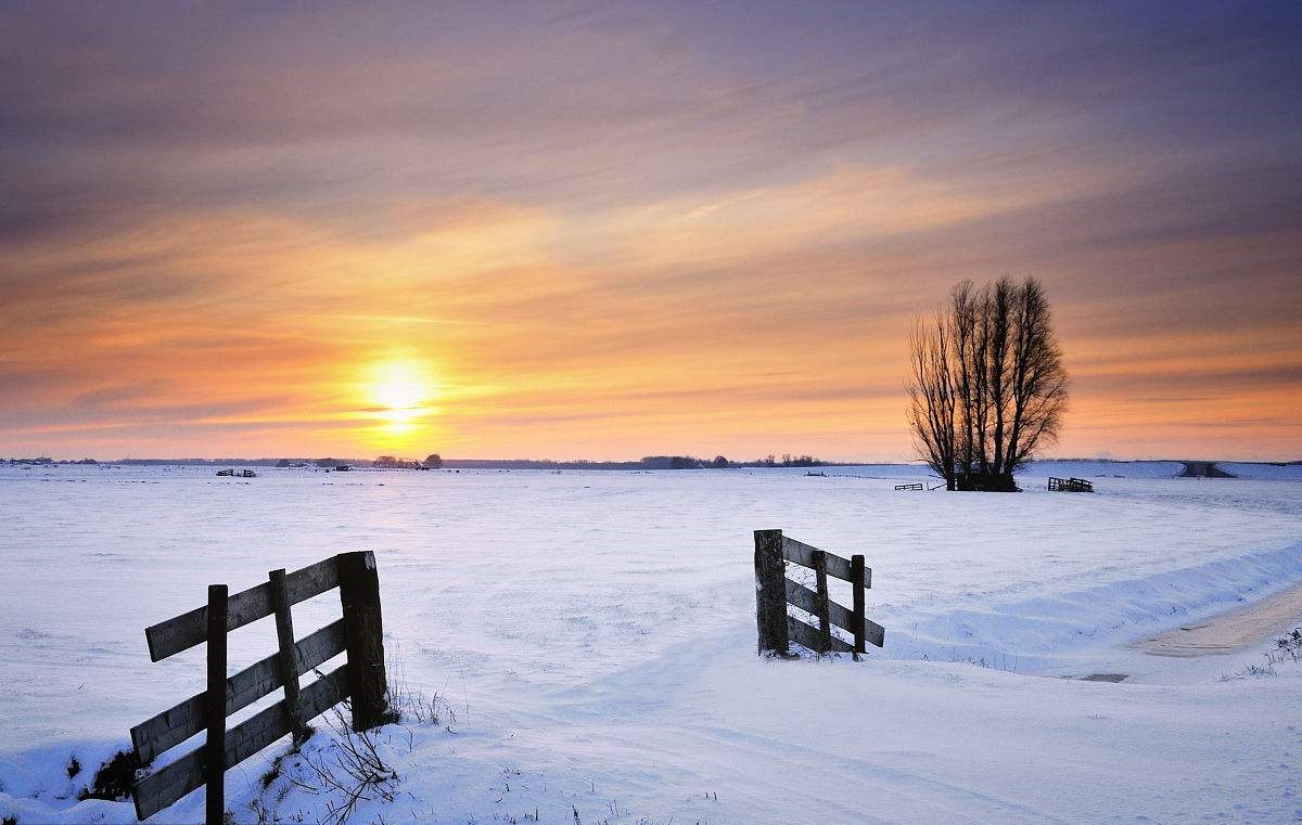 冬至到来数九寒阳生三候待春来,冬至如年数九寒阳生三候待春还