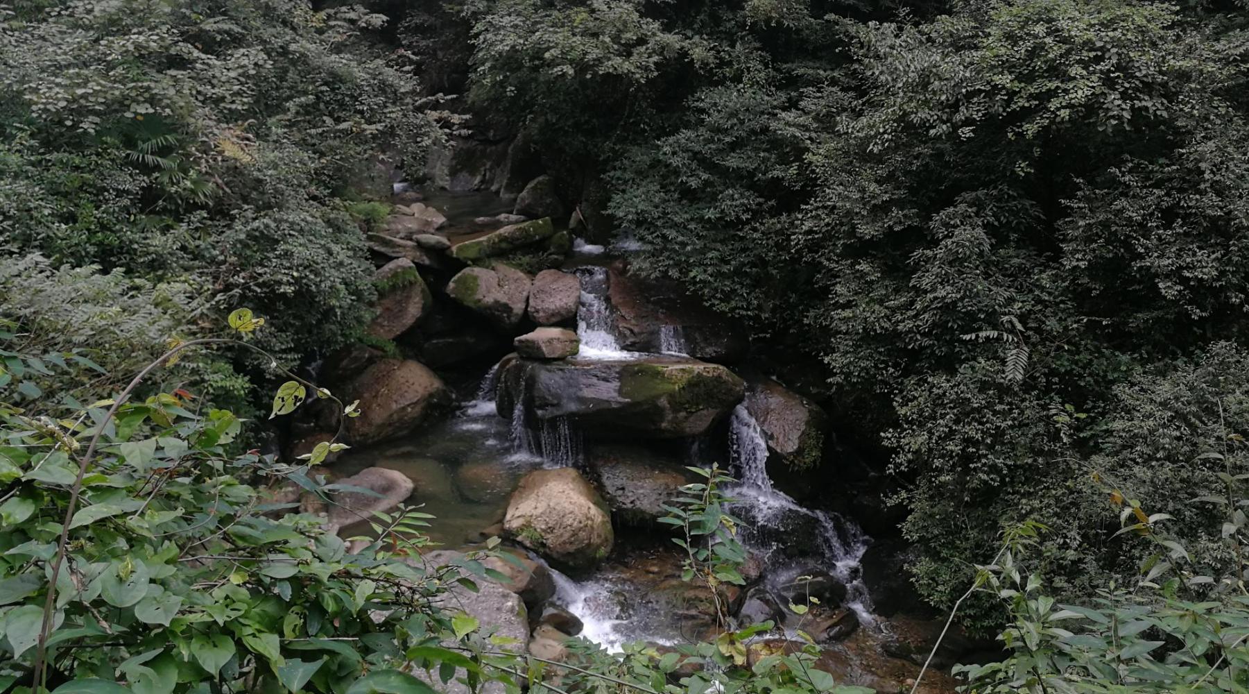 成都露营遛娃抓蝌蚪,成都周边避暑遛娃