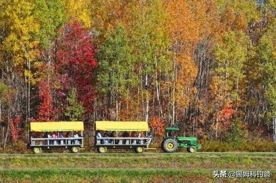 蔓越莓的秘密,蔓越莓小秘密大全