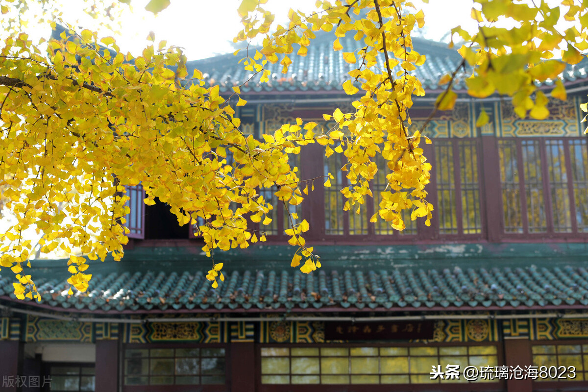 中国军事禁地风景区,玄武湖是中国最大的皇家园林湖